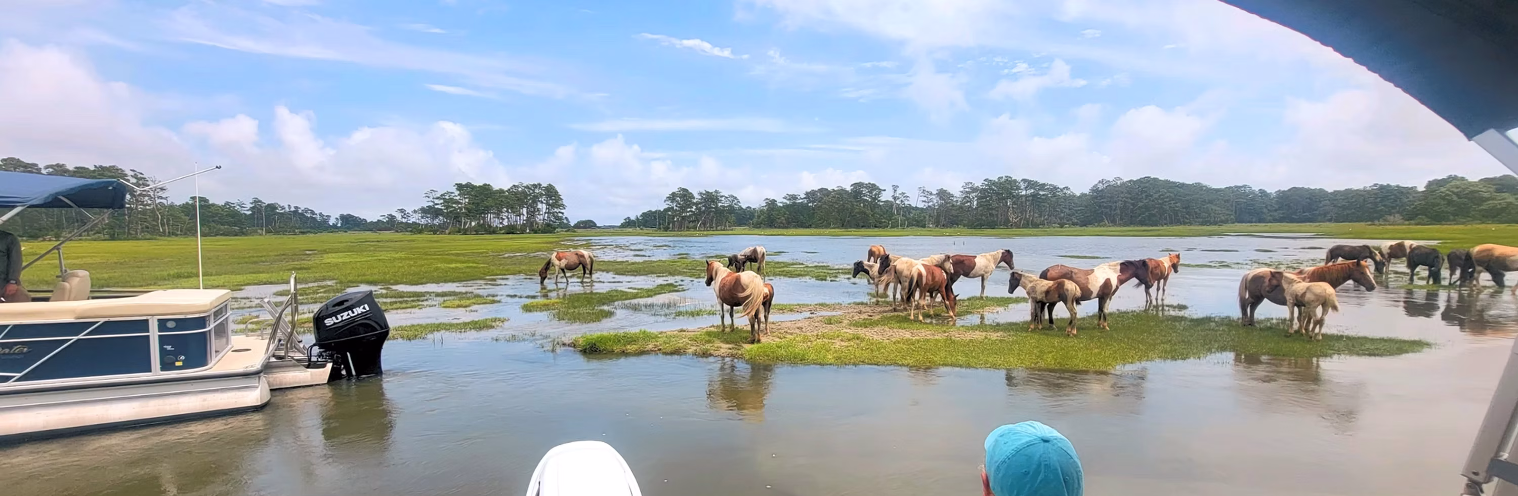 Saltwater Pony Tours | Chincoteague Pony Tours