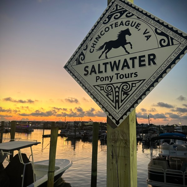 A sign for Saltwater Pony Tours at sunset with boats docked in the background.