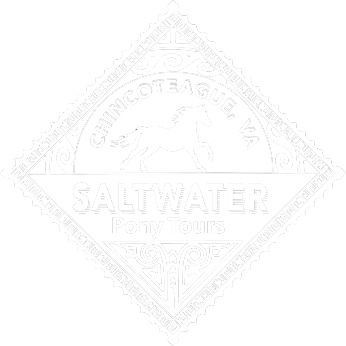 Saltwater Pony Tours