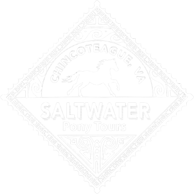 Diamond-shaped logo: Chincoteague, VA Saltwater Pony Tours with a galloping horse silhouette.
