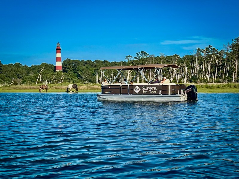 Saltwater Pony Tours boat cruising near the Assateague Lighthouse in Chincoteague, Virginia