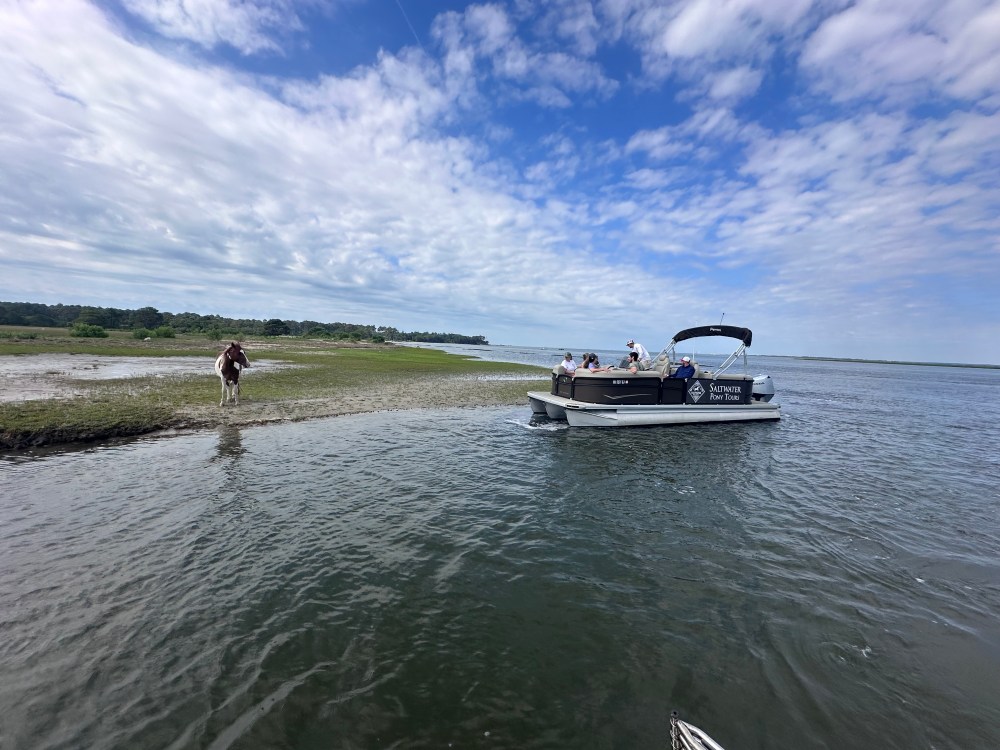 A pontoon boat near a grassy shore under a cloudy sky.