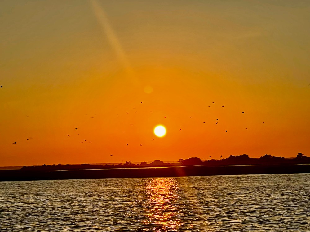 Sunset over water with birds flying and orange sky.