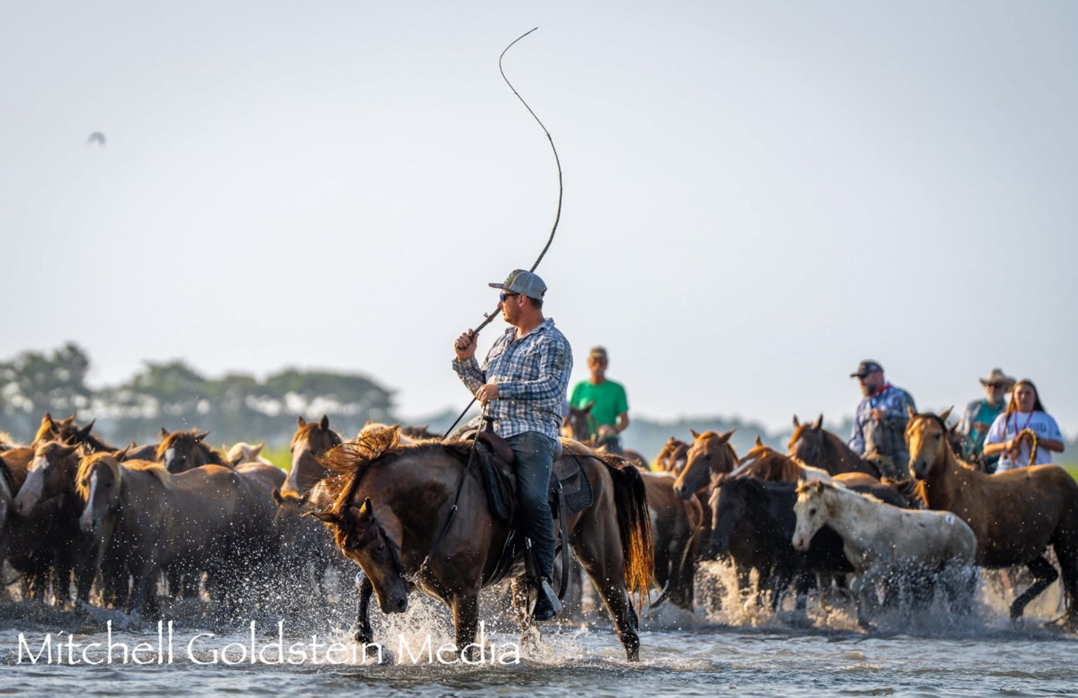 Saltwater Cowboys leading the Chincoteague Pony Swim during Pony Swim Week on Assateague Island