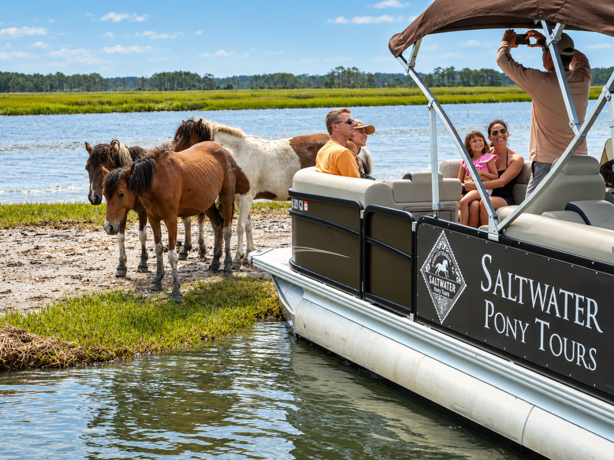 Tourists on a boat watch wild ponies by the water's edge.