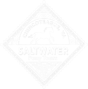 Diamond-shaped logo: Chincoteague, VA; horse silhouette; Saltwater Pony Tours.