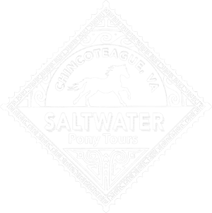 Diamond-shaped logo: Chincoteague, VA; horse silhouette; Saltwater Pony Tours.